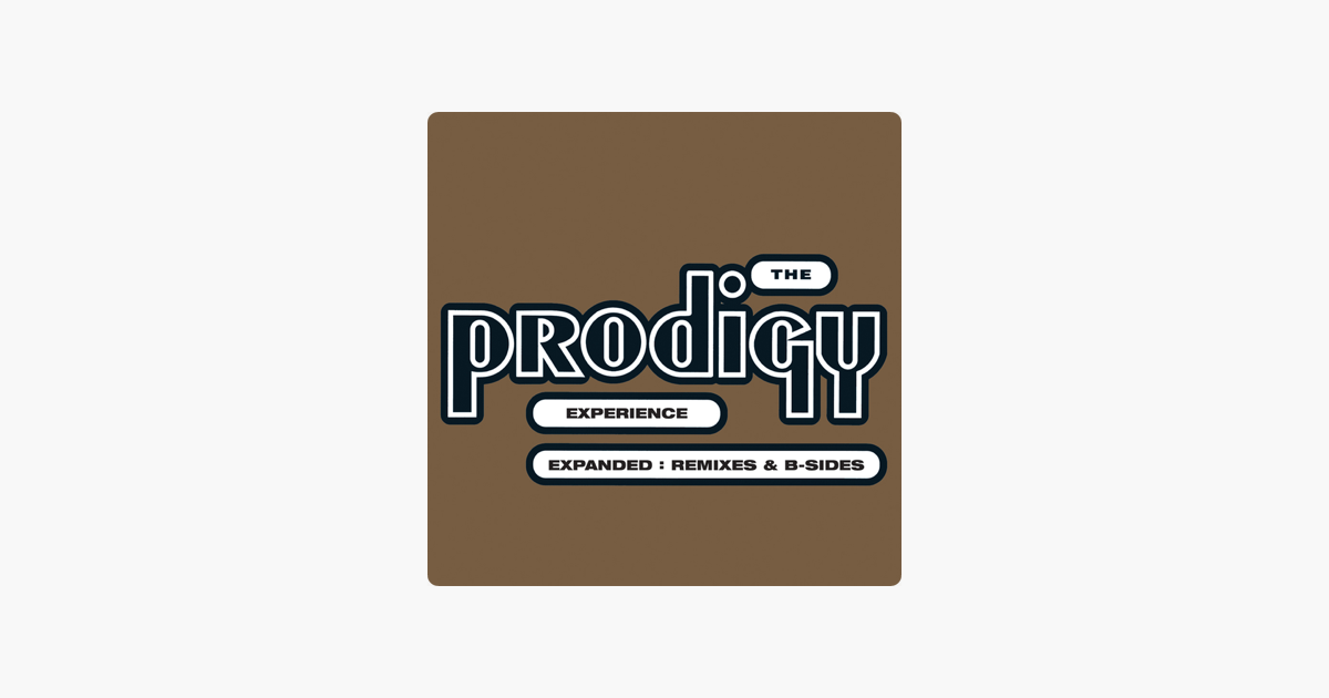 The prodigy discography